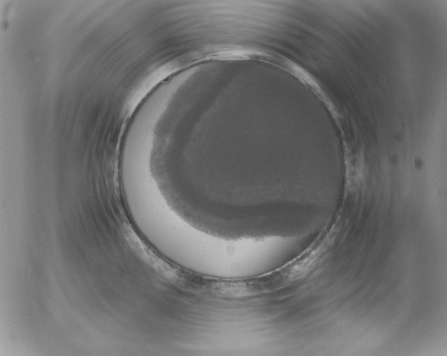 X0000055511194200509022050