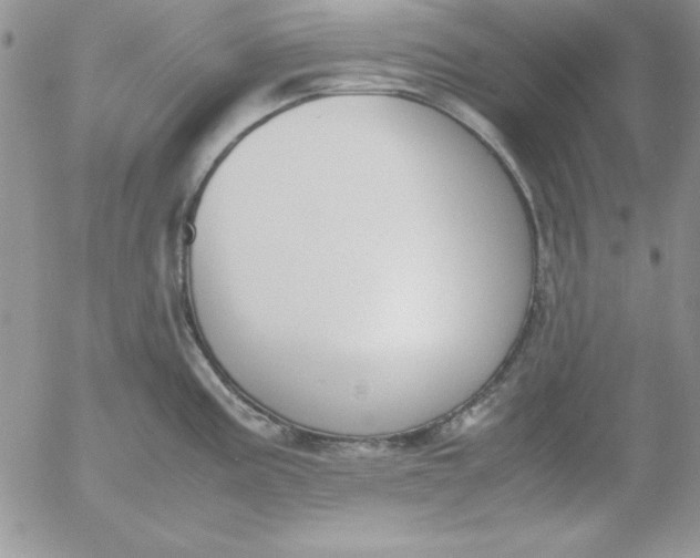 X0000055511195200509022050