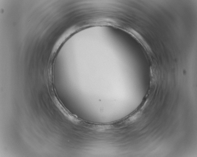 X0000055511196200509022050