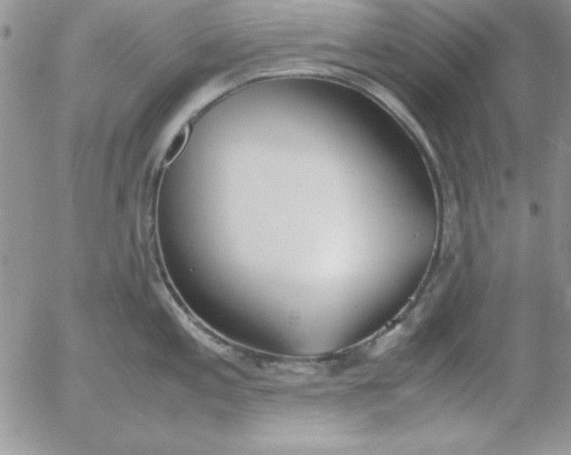 X0000055511197200509022050