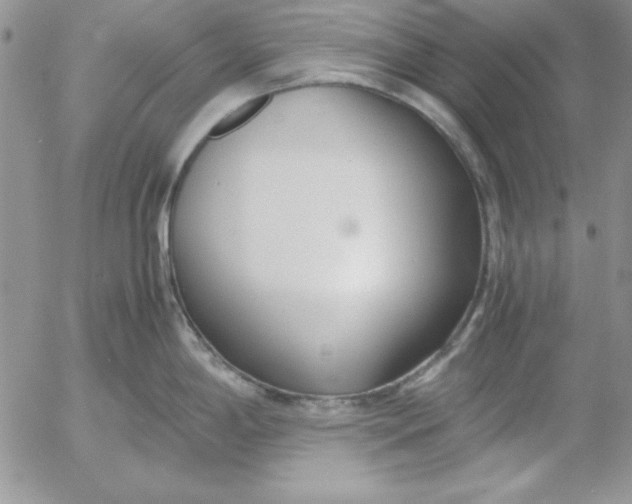 X0000055511198200509022050