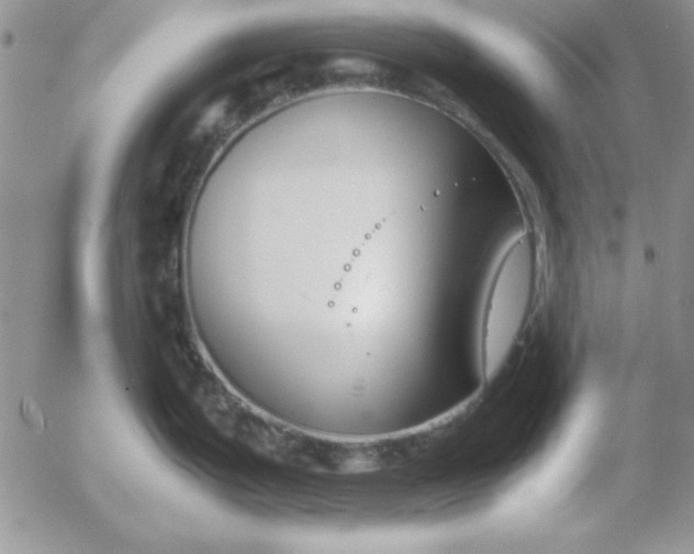 X0000055511199200509022050