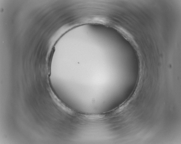 X0000055511200200509022050