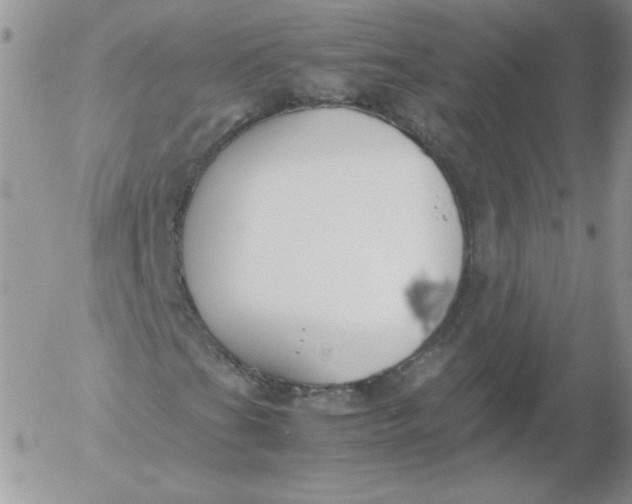 X0000055511201200509022049