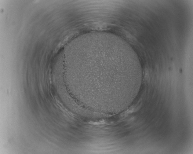 X0000055511202200509022049