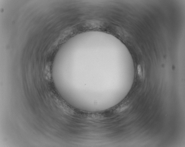 X0000055511203200509022049