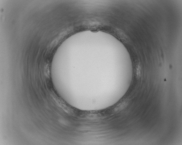 X0000055511204200509022049