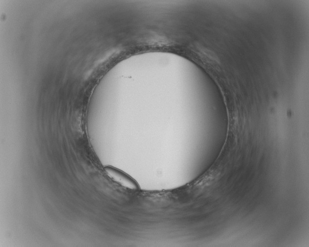 X0000055511205200509022049