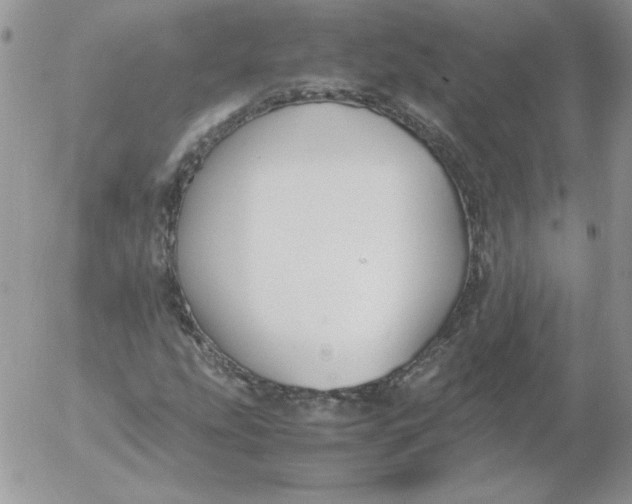 X0000055511207200509022049