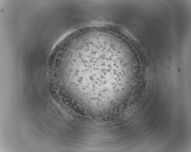 X0000055511208200509022049