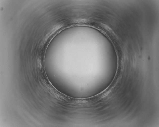 X0000055511209200509022049