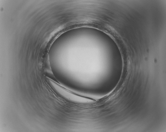 X0000055511210200509022049