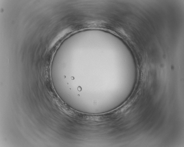 X0000055511211200509022049