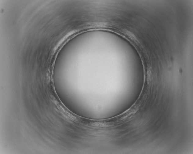 X0000055511212200509022049