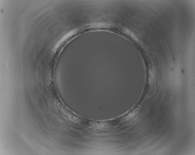 X0000055511213200509022049