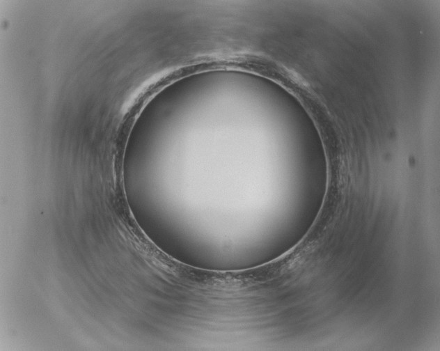 X0000055511214200509022049