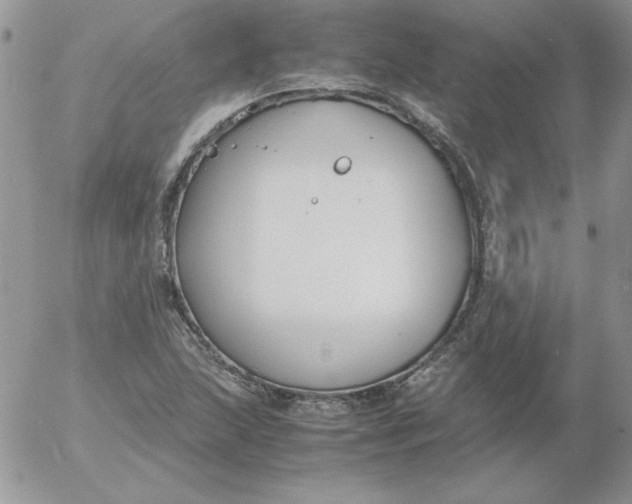 X0000055511215200509022049