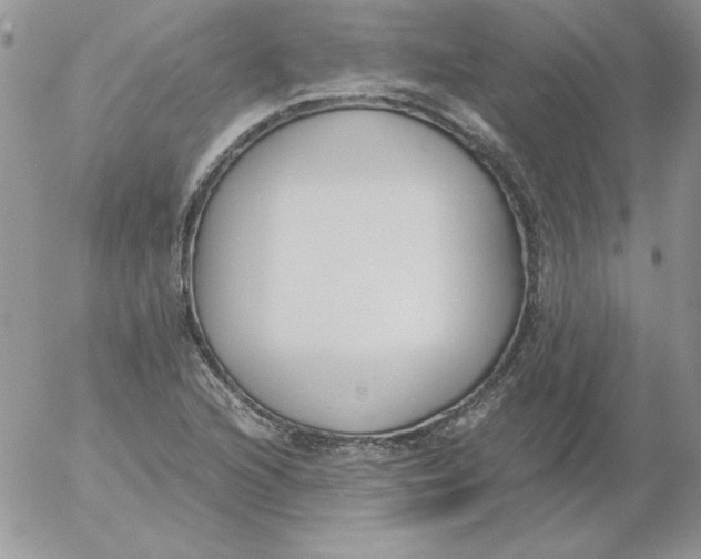 X0000055511216200509022049