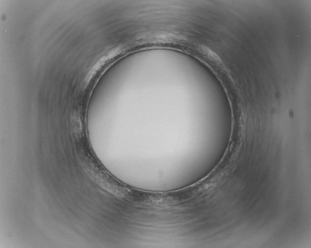 X0000055511218200509022049