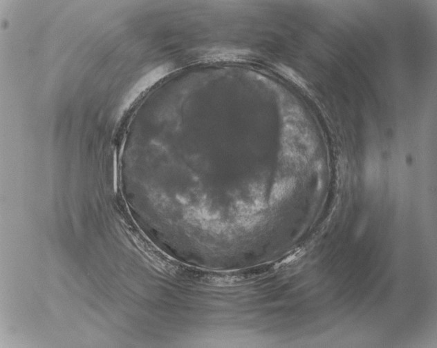 X0000055511219200509022049