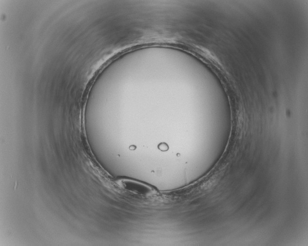 X0000055511220200509022049