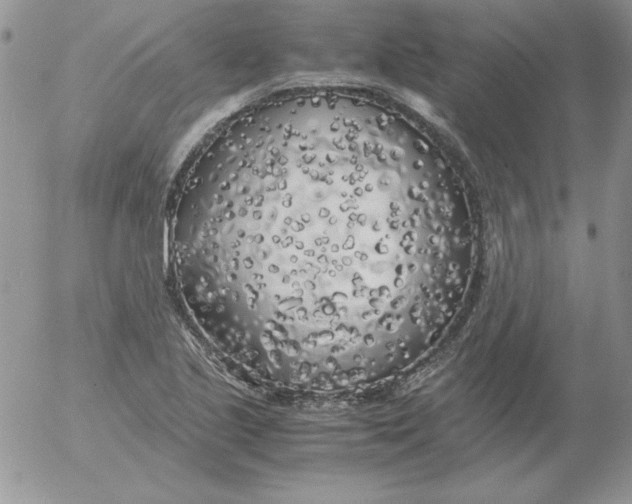 X0000055511221200509022049