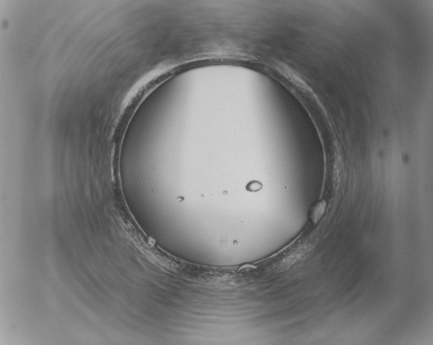 X0000055511222200509022049