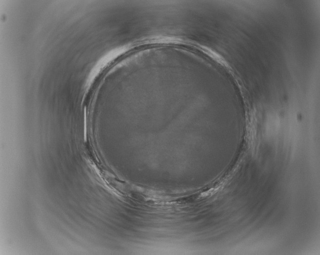 X0000055511223200509022049