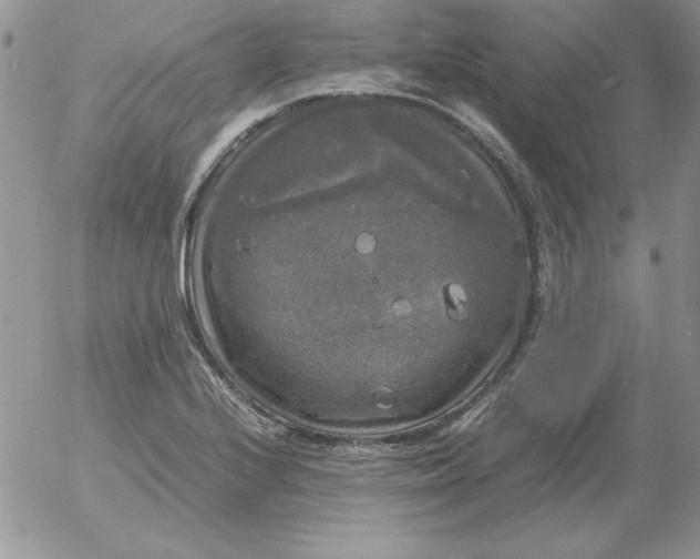 X0000055511224200509022049