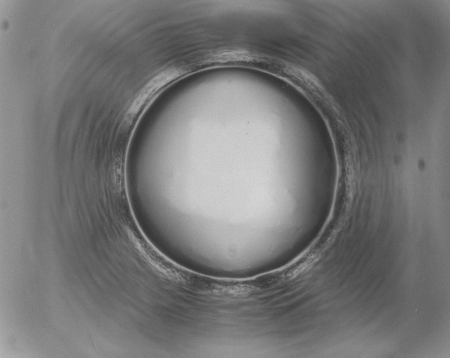 X0000055511225200509022049