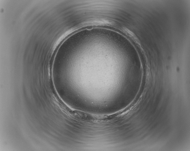 X0000055511226200509022049