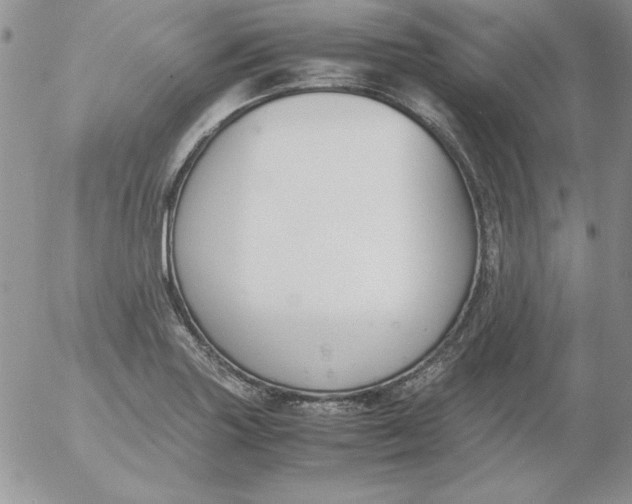 X0000055511227200509022049