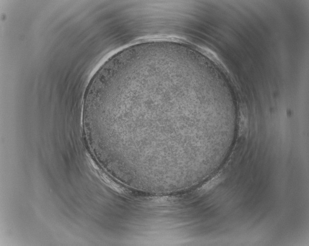 X0000055511228200509022049