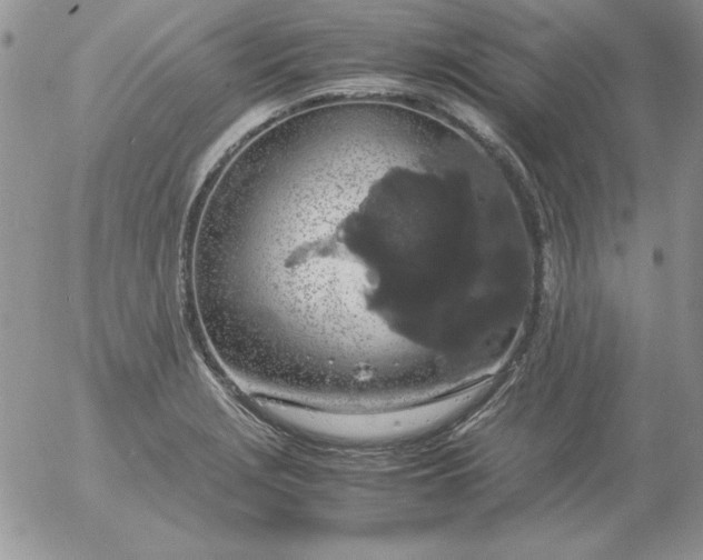 X0000055511229200509022049