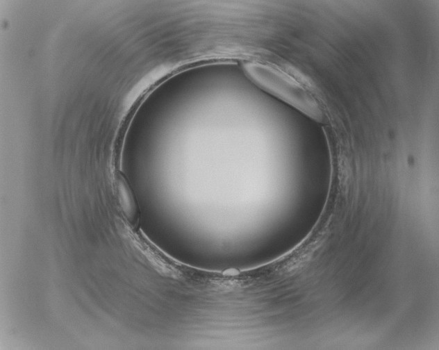 X0000055511230200509022049