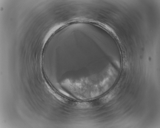 X0000055511231200509022049