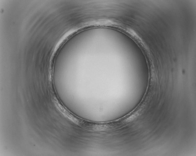 X0000055511232200509022049