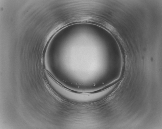 X0000055511234200509022049