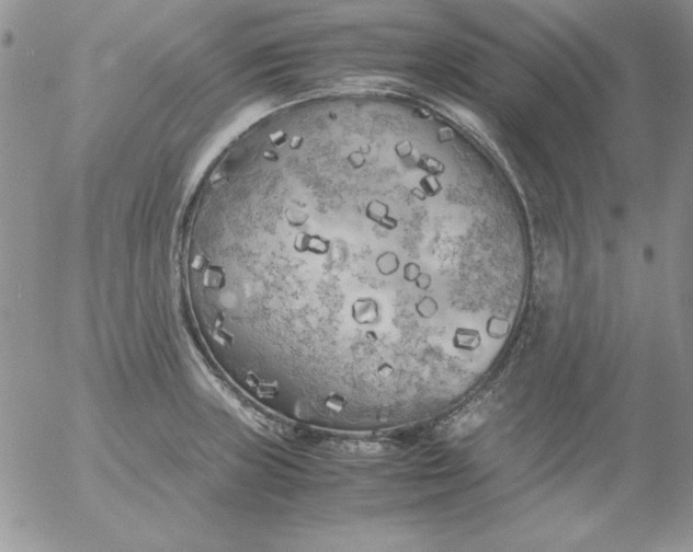 X0000055511235200509022049