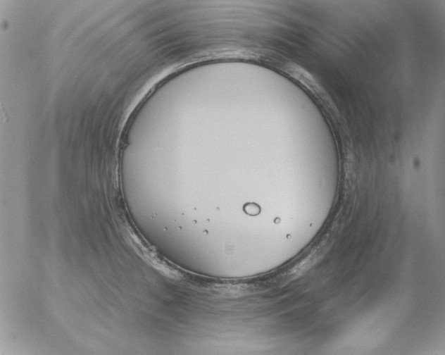 X0000055511236200509022049