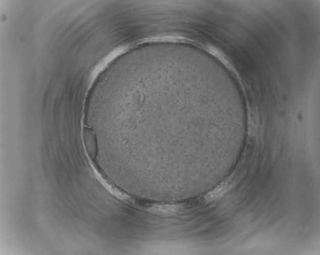 X0000055511237200509022049