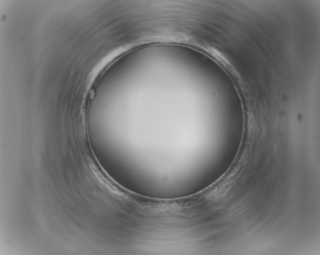 X0000055511238200509022049