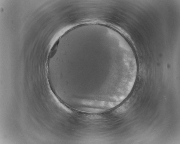 X0000055511239200509022049