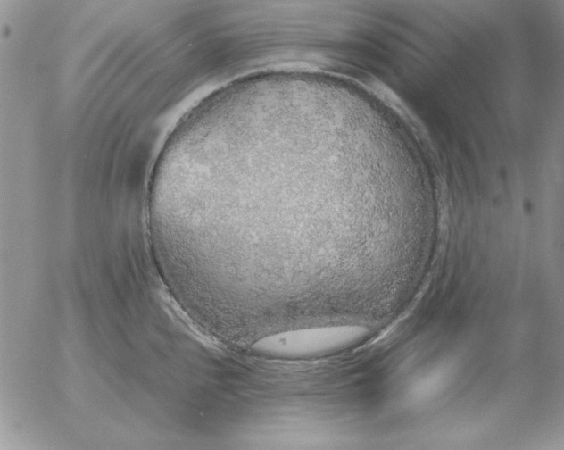 X0000055511240200509022049