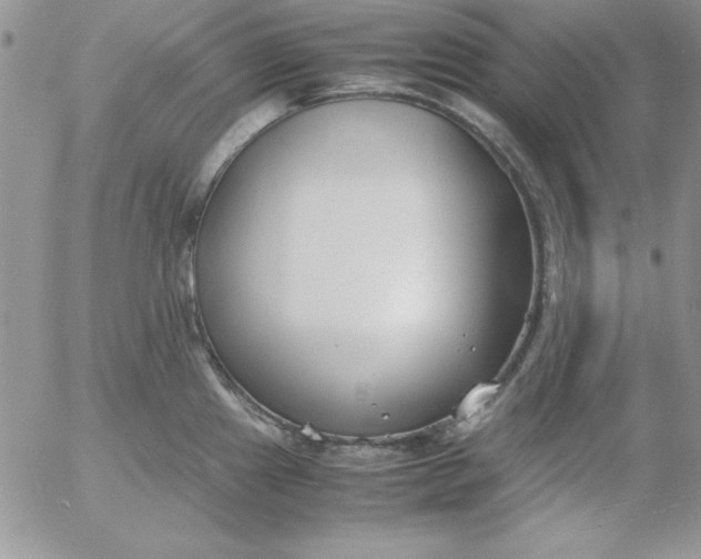 X0000055511241200509022049