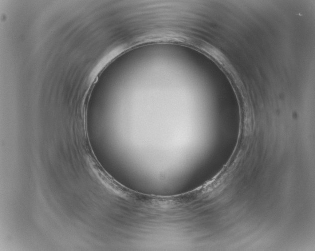 X0000055511242200509022049