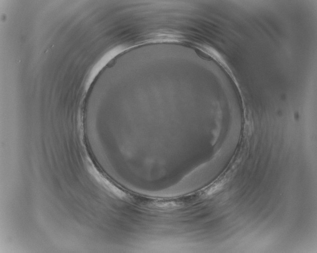 X0000055511243200509022049