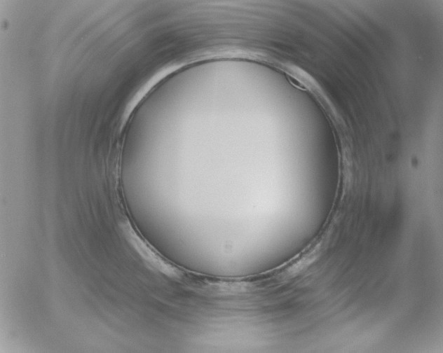 X0000055511244200509022049