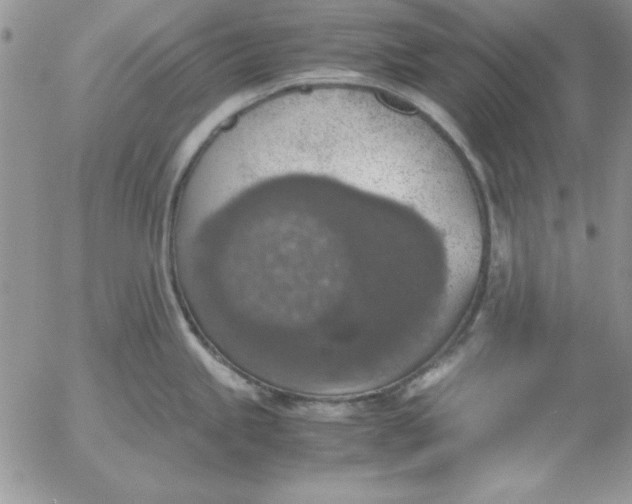 X0000055511245200509022049