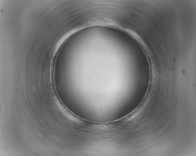 X0000055511246200509022050